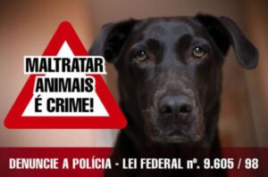 Como denunciar maus tratos aos cães