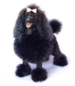 Poodle - Características da raça, fotos e vídeos
