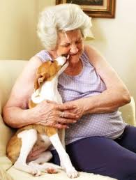 cães-e-pessoas-idosas