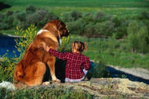 Raças de cães que têm boa convivência com crianças