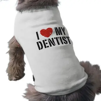 Por que devo levar meu cachorro ao dentista?