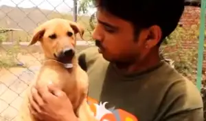 Video: Rapaz salva cachorro que caiu em poço profundo