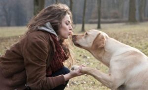 Sinais explícitos de amor entre você e seu cachorro