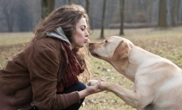 amor caes e pessoas