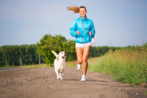 Vai correr com seu cachorro? Confira algumas dicas!