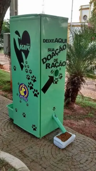 Cães ganham máquina que distribui ração e água