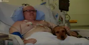 Quando cães entram nos hospitais os efeitos positivos são surpreendentes