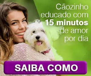 Cão Obediente