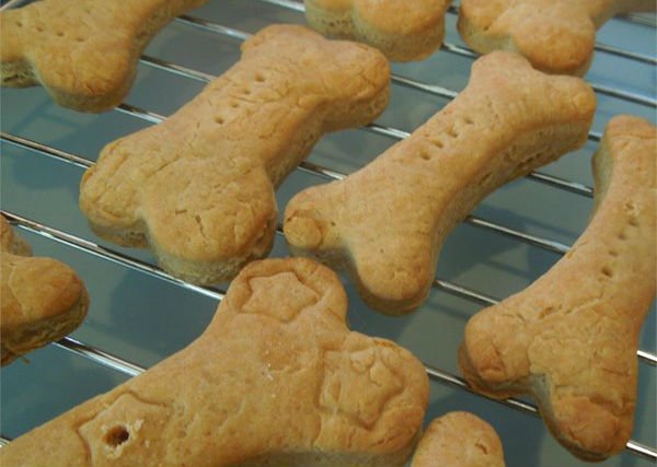 biscoitos para cachorros