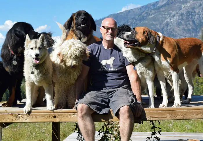 Casal vive com 46 cães adotados na sua própria casa Casal vive com 46 cães adotados na sua própria casa