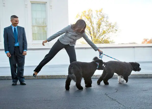 Os cães da família Obama são uma atração à parte na Casa Branca