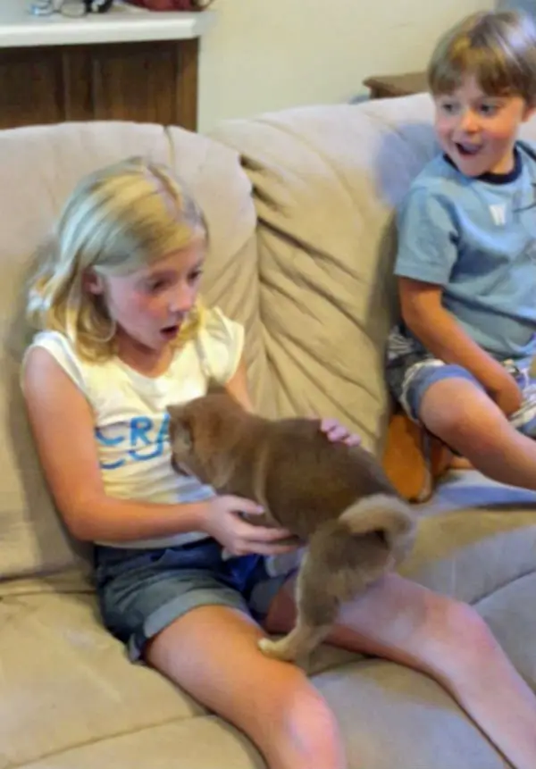 Veja a reação de uma garotinha ao ganhar um cãozinho de aniversário Veja a reação de uma garotinha ao ganhar um cãozinho de aniversário