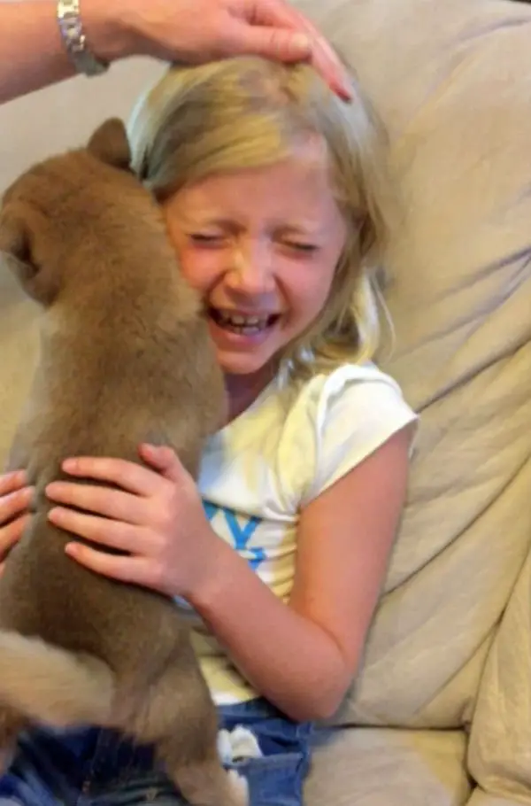 Veja a reação de uma garotinha ao ganhar um cãozinho de aniversário