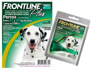 Frontline: a solução contra pulgas e carrapatos