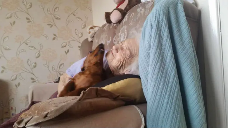 Vovó com Alzheimer fica mais feliz ao receber visitas de cãozinho
