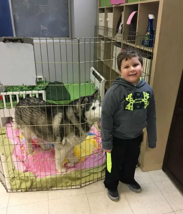 Garoto com tumor pede doações para abrigo de animais como presente de aniversário