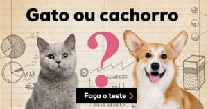 Teste: Você tem cérebro de cachorro ou de gato?