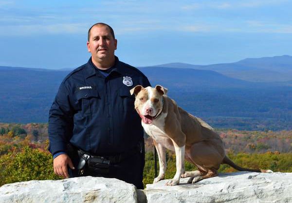 Pit bull acorrentado na neve ganha nova oportunidade em sua vida Pit bull acorrentado na neve ganha nova oportunidade em sua vida