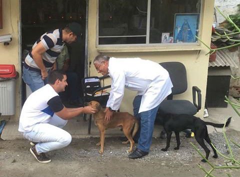 Vereador dá exemplo e cria SAMU animal em Recife
