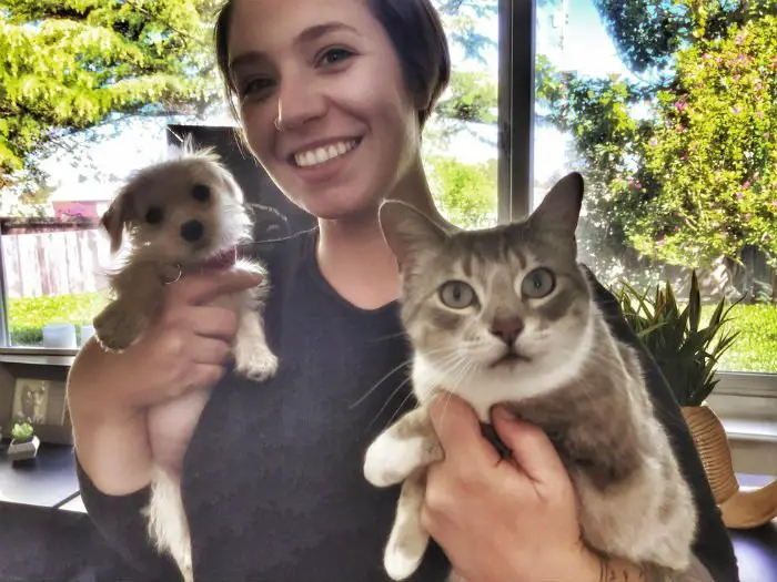 Gata adota cãozinho abandonado depois de ataque Gata adota cãozinho abandonado depois de ataque