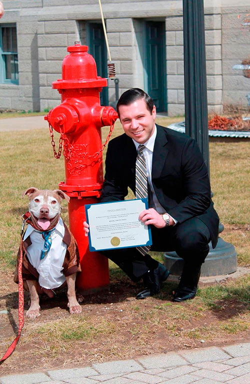Pit Bull ganha hidrante de prefeito em dia de homenagem