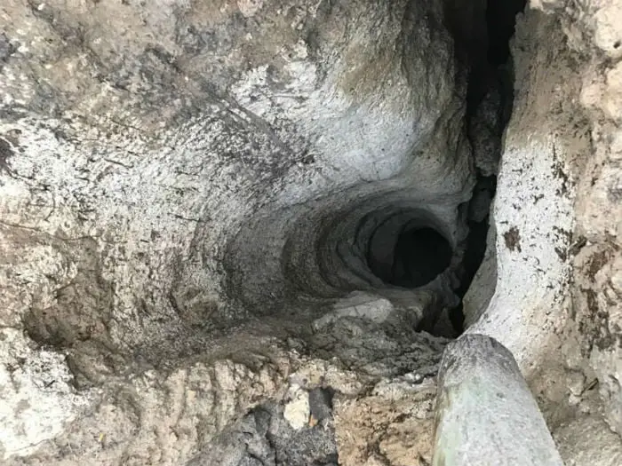 O dramático salvamento de um pug que caiu em um buraco profundo e escuro