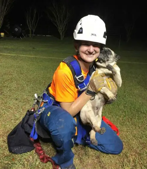 O dramático salvamento de um pug que caiu em um buraco profundo e escuro O dramático salvamento de um pug que caiu em um buraco profundo e escuro