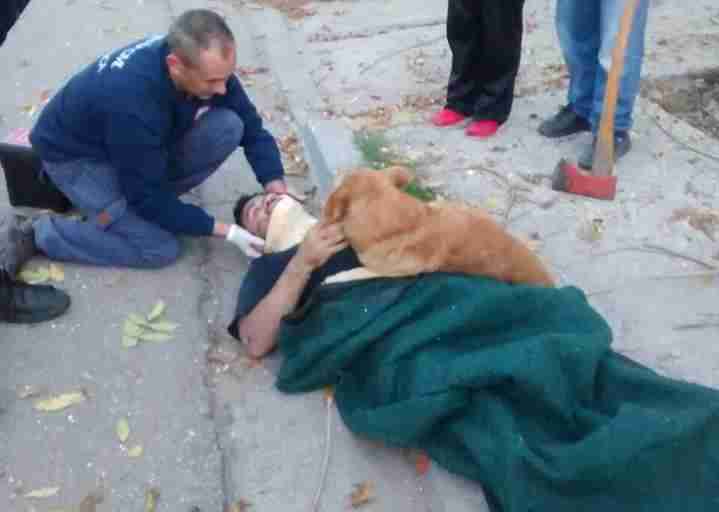 Homem sofre acidente e cãozinho permanece ao seu lado durante atendimento