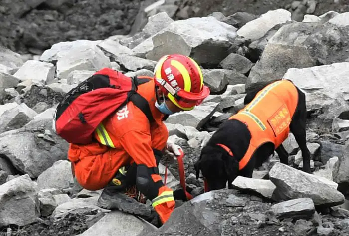 Deslizamento na China revela heróis de quatro patas Deslizamento na China revela heróis de quatro patas