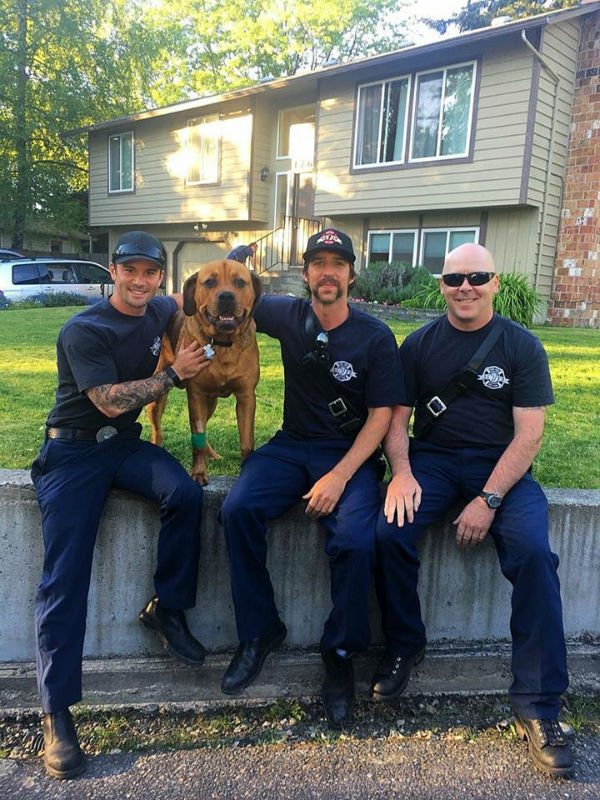 Bombeiros salvam cachorro de incêndio e são presenteados com um doce sorriso