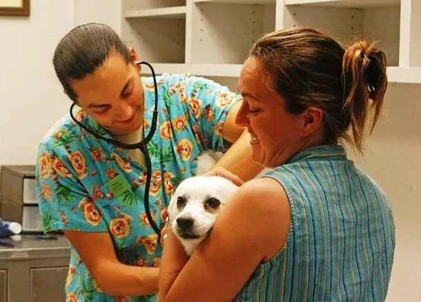 21 Cuidados que você precisa ter quando decide adotar um cãozinho