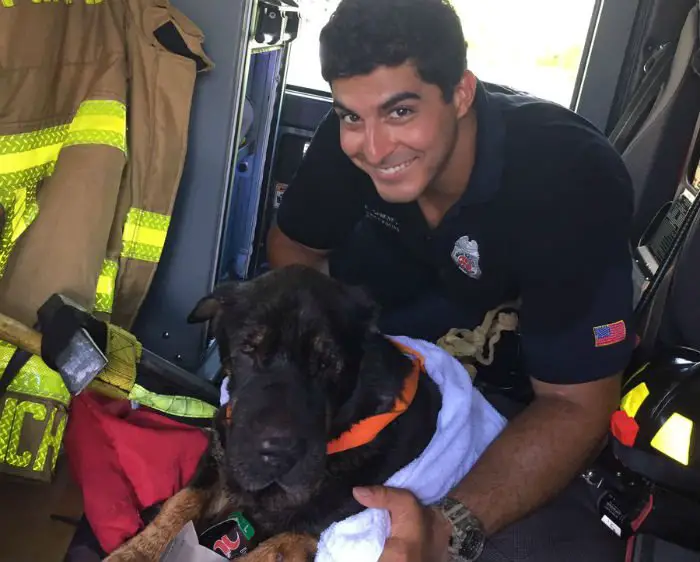 Bombeiro arrisca sua vida para salvar cão de afogamento