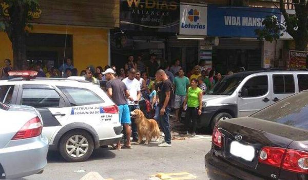 Polícia salva cão trancado no carro no ES