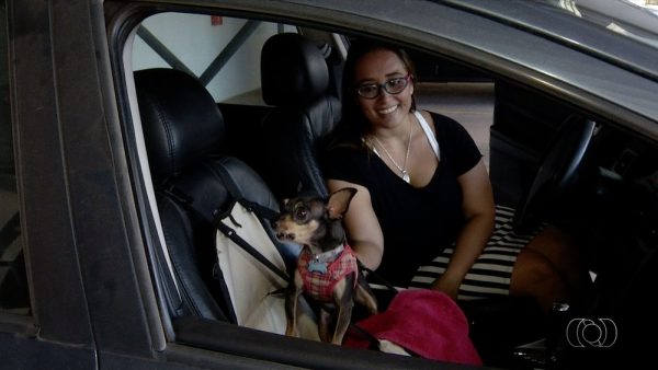 Conheça Pedro Henrique, o cãozinho que leva uma vida de rei Conheça Pedro Henrique, o cãozinho que leva uma vida de rei