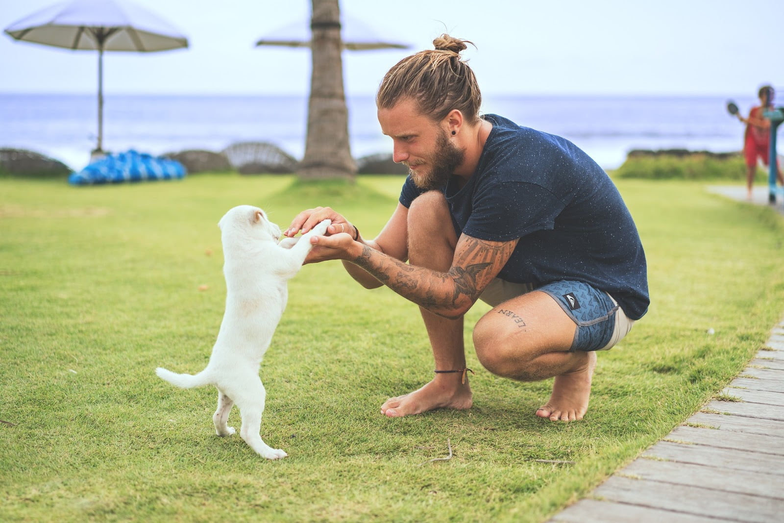 Cães são “coisa” ou “gente”?