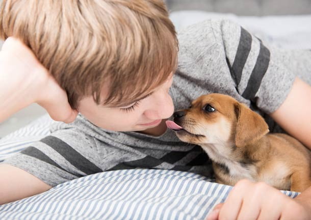 25 Fotos de lindos filhotes de cachorro para alegrar seu dia