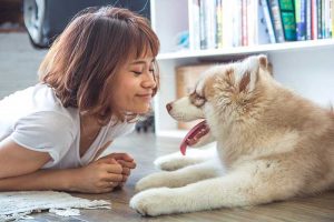 Falar com os cães os deixam felizes?