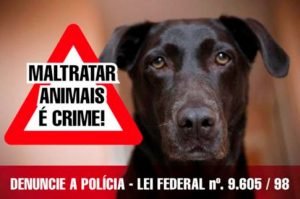 Como denunciar maus-tratos contra animais