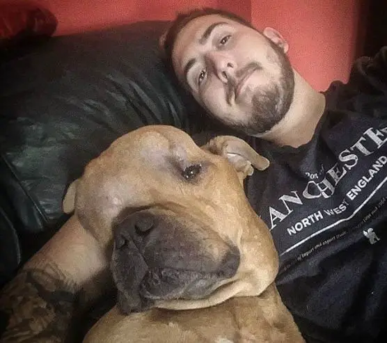 Jovem adota cachorro com câncer para dar a ele um lar em seus últimos dias