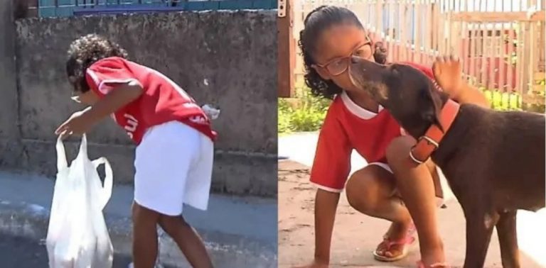Menina de 7 anos cata latinhas para comprar ração para cachorros de rua Menina de 7 anos cata latinhas para comprar ração para cachorros de rua
