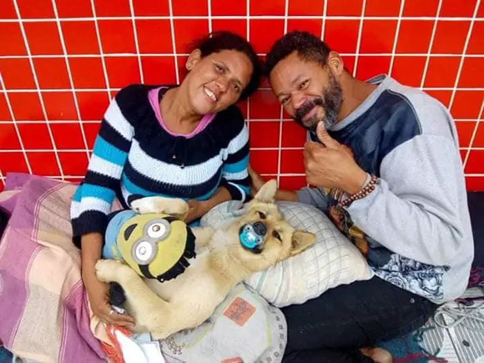 Cachorro viraliza na internet por dormir com chupeta Cachorro viraliza na internet por dormir com chupeta