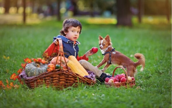 O cachorro é realmente o melhor amigo do homem?