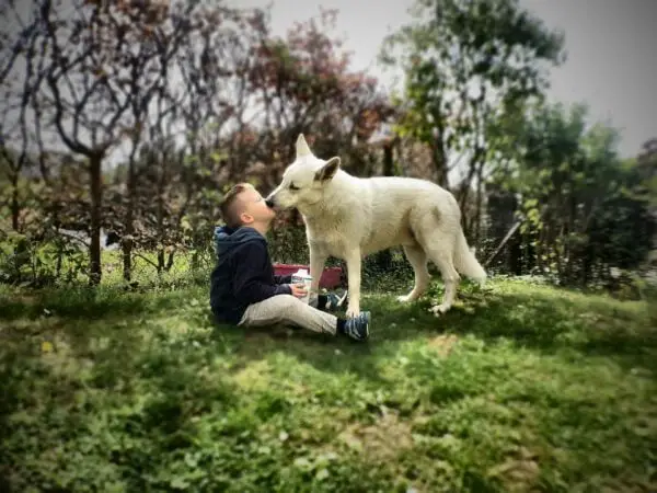 Por que os cachorros adoram lamber?