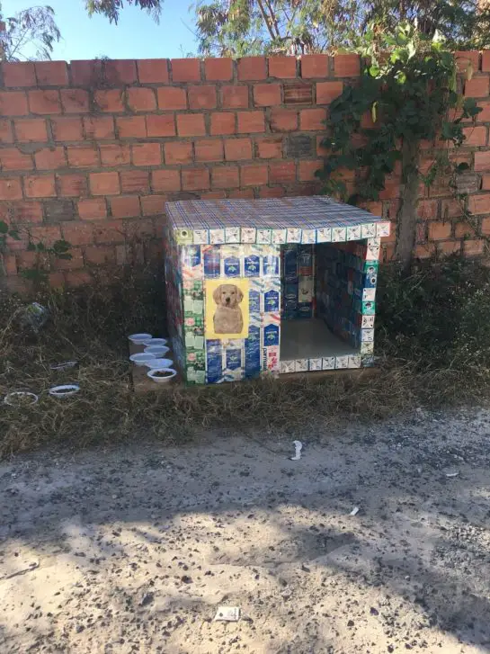 Mulher faz casinhas com caixas de leite para cães de rua Mulher faz casinhas com caixas de leite para cães de rua