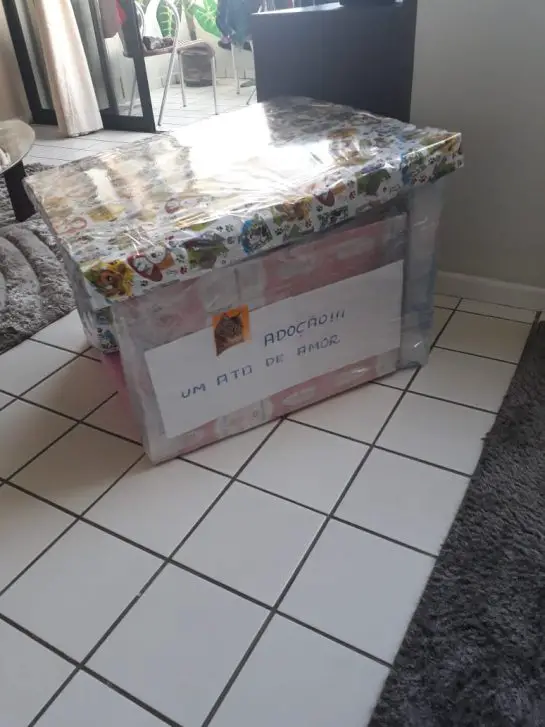Mulher faz casinhas com caixas de leite para cães de rua Mulher faz casinhas com caixas de leite para cães de rua