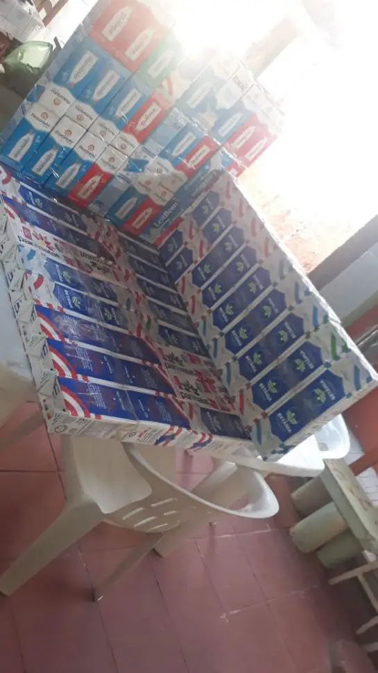 Mulher faz casinhas com caixas de leite para cães de rua Mulher faz casinhas com caixas de leite para cães de rua