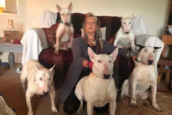 Eles ou eu! Esposa escolhe os cães e pede divórcio Eles ou eu! Esposa escolhe os cães e pede divórcio