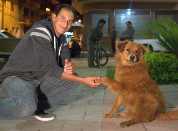 Homem para caminhão para salvar cachorro idoso que agonizava na estrada Homem para caminhão para salvar cachorro idoso que agonizava na estrada