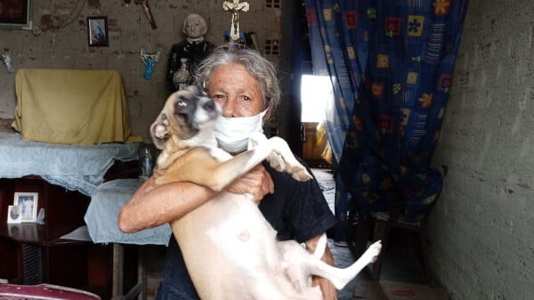 Idosa procura quem adote seus mais de 20 pets: 'Não quero ver eles sem comida, no meio da rua' Idosa procura quem adota seus pets