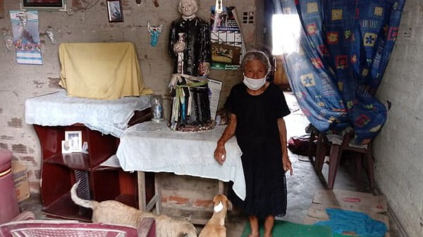 Idosa procura quem adote seus mais de 20 pets: 'Não quero ver eles sem comida, no meio da rua' Idosa procura quem adota seus pets